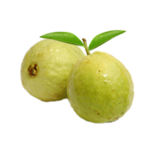Guava PNG-73162